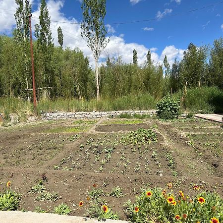 Nature Palace Farmstay She Exterior photo